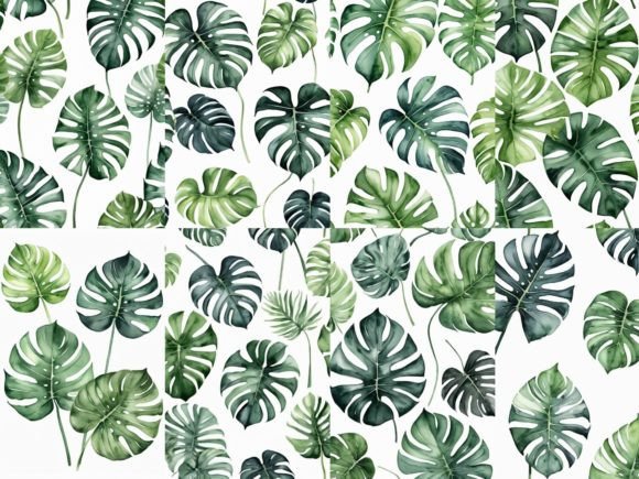 Download 32 Images Monstera Leaves Watercolor - Images Collection